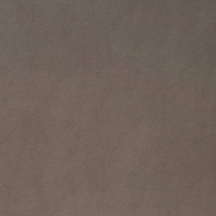 V865 Pewter by Charlotte Fabric Leather Looks 69% Polyurethane, 28% Polyester, 3% Cotton Asia Exceeds 100,000 Wyzenbeek Rubs (Heavy Duty) No Repeat 54 Inches - Fabric Carolina -