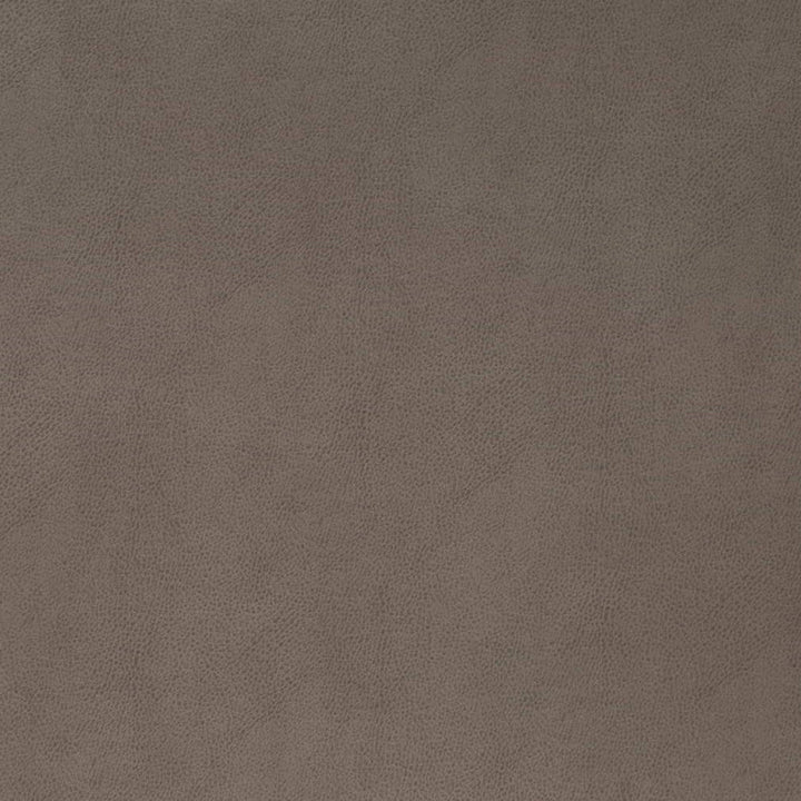 V865 Pewter by Charlotte Fabric Leather Looks 69% Polyurethane, 28% Polyester, 3% Cotton Asia Exceeds 100,000 Wyzenbeek Rubs (Heavy Duty) No Repeat 54 Inches - Fabric Carolina -