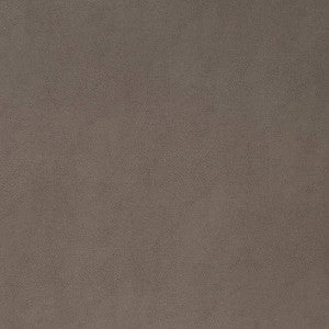 V865 Pewter by Charlotte Fabric