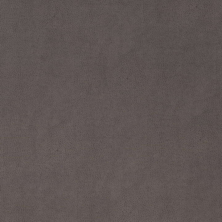 V866 Gunmetal by Charlotte Fabric Leather Looks 69% Polyurethane, 28% Polyester, 3% Cotton Asia Exceeds 100,000 Wyzenbeek Rubs (Heavy Duty) No Repeat 54 Inches - Fabric Carolina -