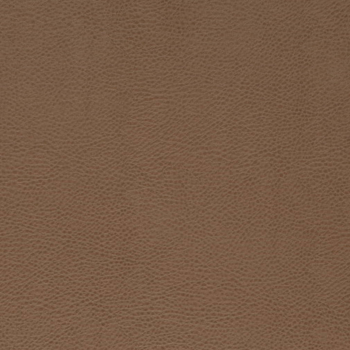 V869 Bronze by Charlotte Fabric Leather Looks 100% Polyurethane Asia Exceeds 100,000 Wyzenbeek Rubs (Heavy Duty) No Repeat 54 Inches - Fabric Carolina -