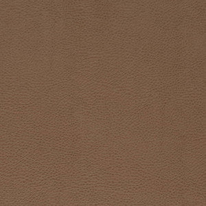 V869 Bronze by Charlotte Fabric