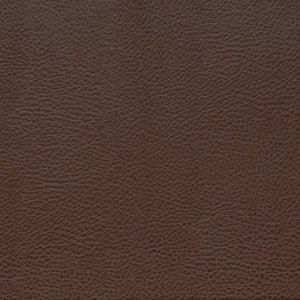 V872 Pecan by Charlotte Fabric