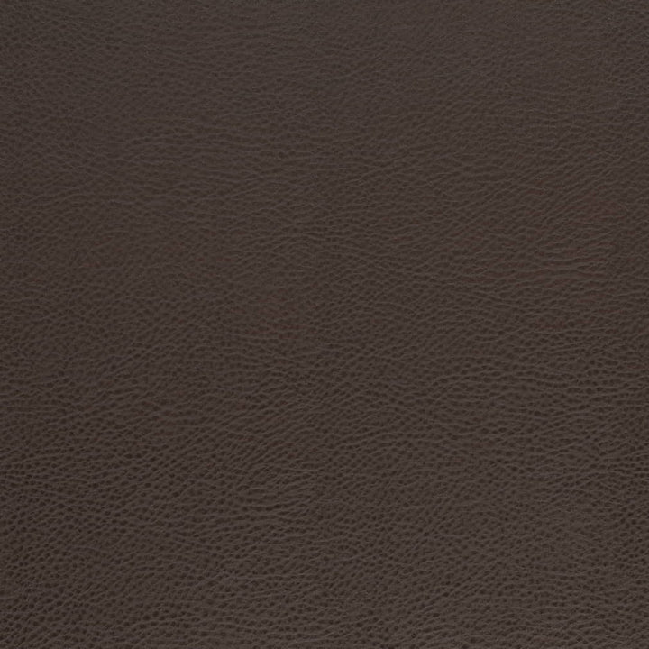 V874 Walnut by Charlotte Fabric Leather Looks 100% Polyurethane Asia Exceeds 100,000 Wyzenbeek Rubs (Heavy Duty) No Repeat 54 Inches - Fabric Carolina -