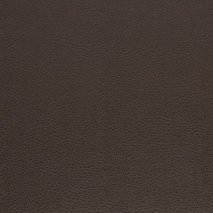 V874 Walnut by Charlotte Fabric