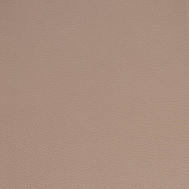 V875 Clay by Charlotte Fabric Leather Looks 100% Polyurethane Asia Exceeds 100,000 Wyzenbeek Rubs (Heavy Duty) No Repeat 54 Inches - Fabric Carolina -