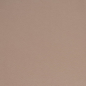 V875 Clay by Charlotte Fabric
