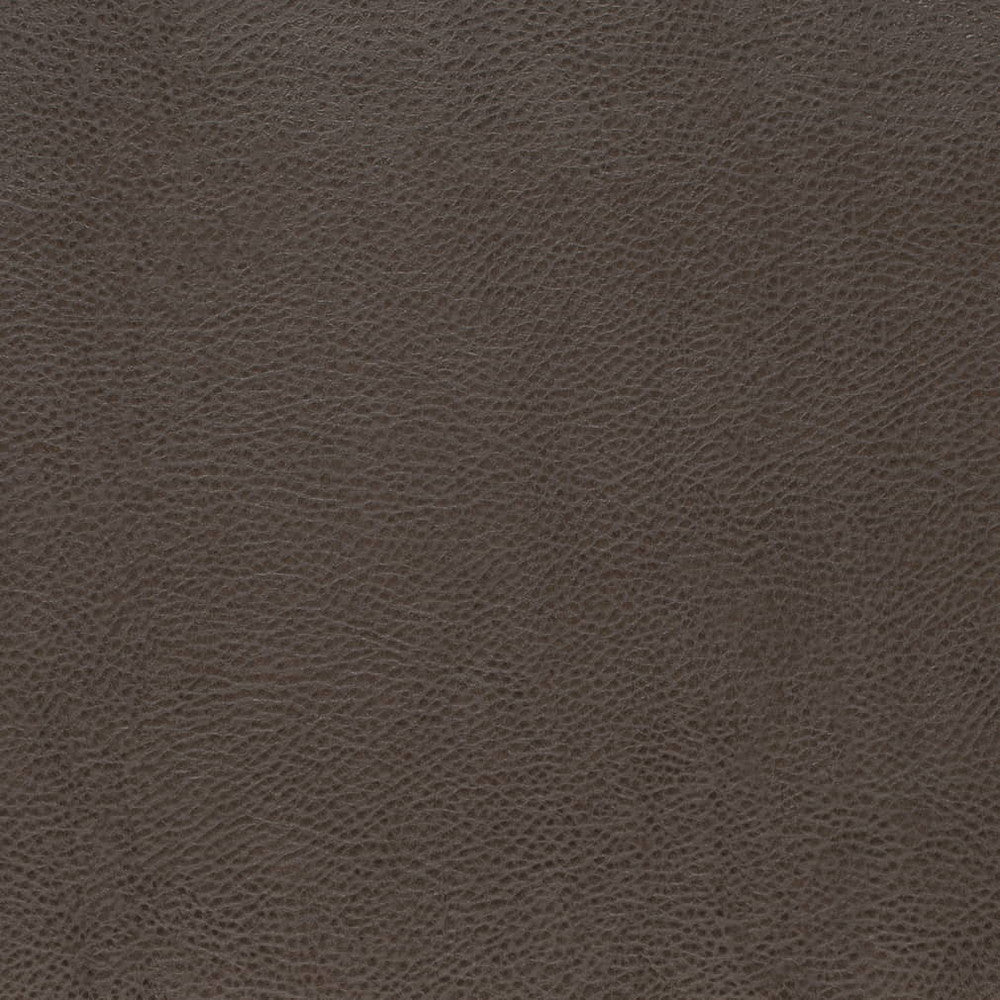 V876 Graphite by Charlotte Fabric Leather Looks 100% Polyurethane Asia Exceeds 100,000 Wyzenbeek Rubs (Heavy Duty) No Repeat 54 Inches - Fabric Carolina -