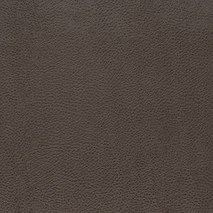 V876 Graphite by Charlotte Fabric