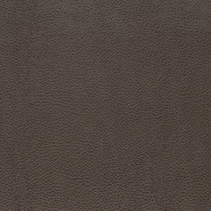 V876 Graphite by Charlotte Fabric