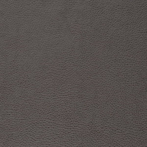 V877 Lead by Charlotte Fabric