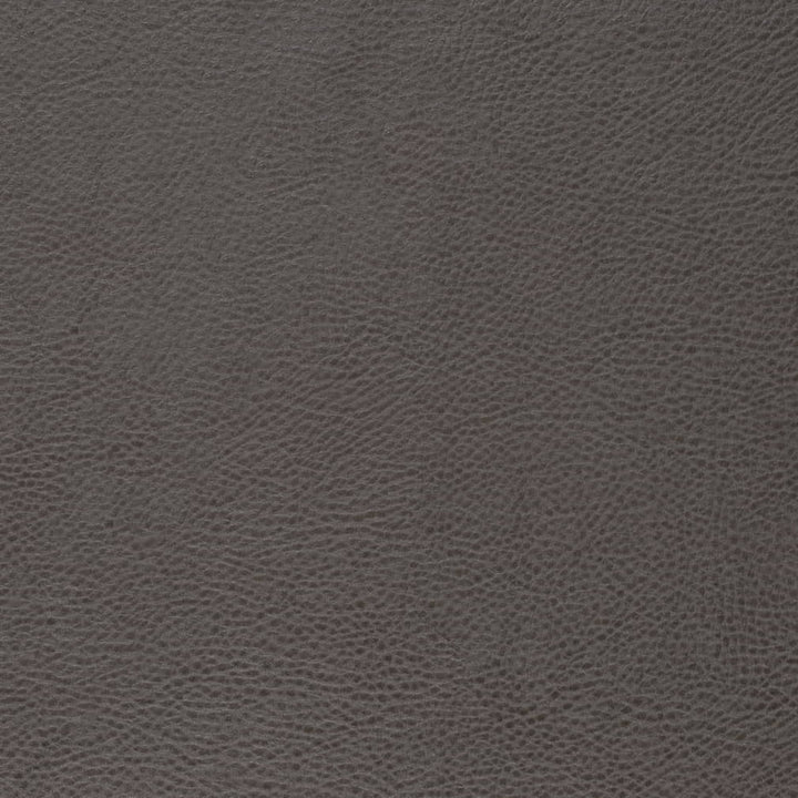 V877 Lead by Charlotte Fabric Leather Looks 100% Polyurethane Asia Exceeds 100,000 Wyzenbeek Rubs (Heavy Duty) No Repeat 54 Inches - Fabric Carolina -