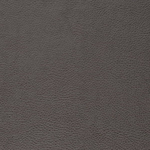 V877 Lead by Charlotte Fabric