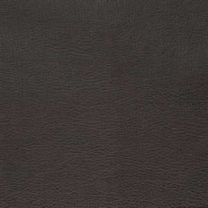 V879 Ebony by Charlotte Fabric
