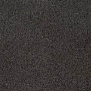 V879 Ebony by Charlotte Fabric
