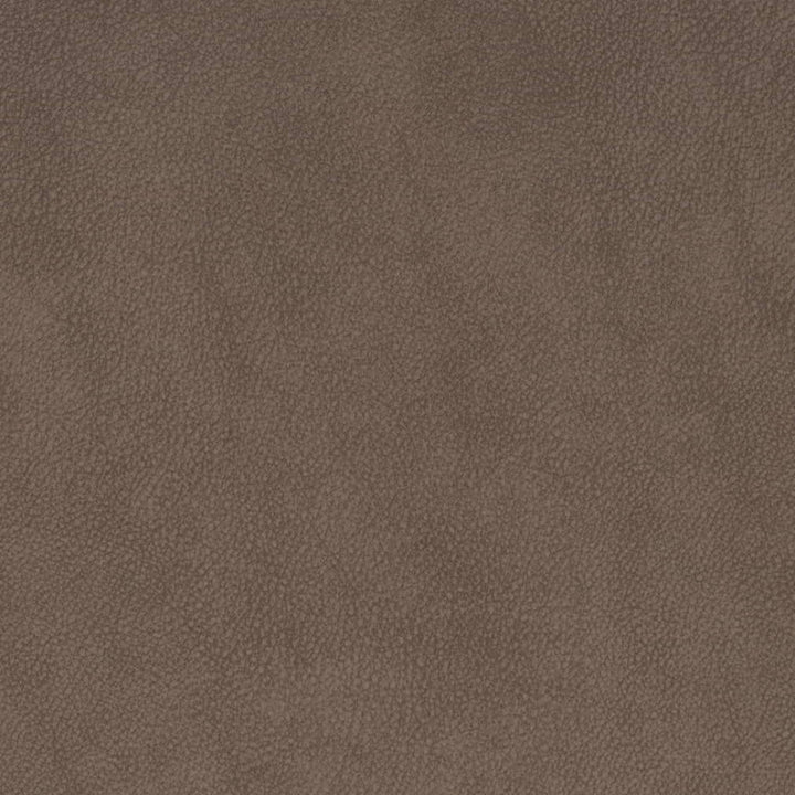 V881 Coffee by Charlotte Fabric Leather Looks 75% Polyester, 25% Polyurethane Asia Exceeds 100,000 Wyzenbeek Rubs (Heavy Duty) No Repeat 54 Inches - Fabric Carolina -