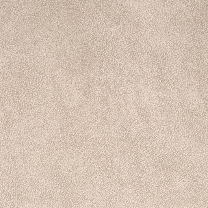 V882 Ash by Charlotte Fabric Leather Looks 75% Polyester, 25% Polyurethane Asia Exceeds 100,000 Wyzenbeek Rubs (Heavy Duty) No Repeat 54 Inches - Fabric Carolina -