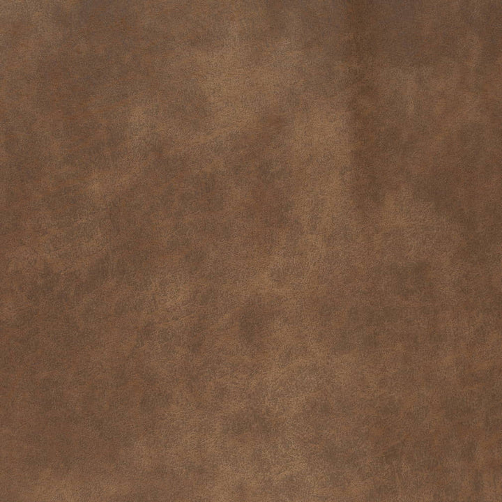 V888 Pueblo by Charlotte Fabric Leather Looks 79% Polyester, 21% Polyurethane Asia Exceeds 100,000 Wyzenbeek Rubs (Heavy Duty) No Repeat 54 Inches - Fabric Carolina -