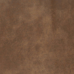 V888 Pueblo by Charlotte Fabric