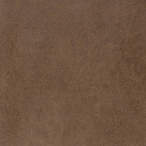 V889 Beaver by Charlotte Fabric