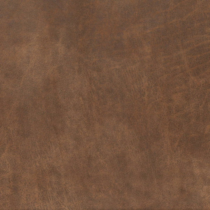V890 Cinnamon by Charlotte Fabric Leather Looks 79% Polyester, 21% Polyurethane Asia Exceeds 100,000 Wyzenbeek Rubs (Heavy Duty) No Repeat 54 Inches - Fabric Carolina -