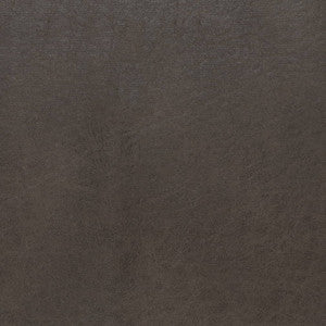 V895 Steel by Charlotte Fabric