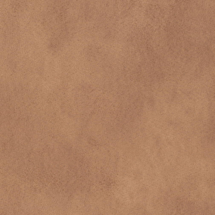 V896 Desert by Charlotte Fabric Leather Looks 100% Polyester Asia Exceeds 100,000 Wyzenbeek Rubs (Heavy Duty) No Repeat 54 Inches - Fabric Carolina -