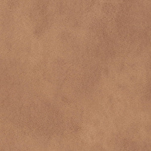 V896 Desert by Charlotte Fabric