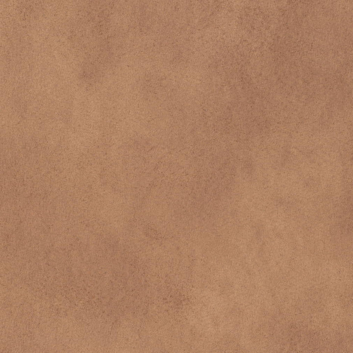 V896 Desert by Charlotte Fabric Leather Looks 100% Polyester Asia Exceeds 100,000 Wyzenbeek Rubs (Heavy Duty) No Repeat 54 Inches - Fabric Carolina -