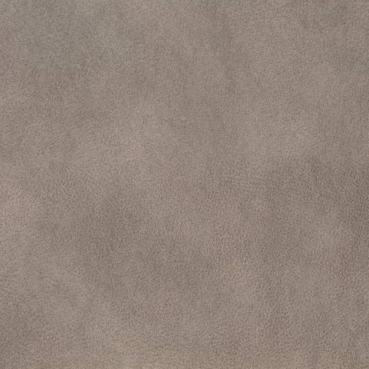 V899 Pebble by Charlotte Fabric Leather Looks 100% Polyester Asia Exceeds 100,000 Wyzenbeek Rubs (Heavy Duty) No Repeat 54 Inches - Fabric Carolina -