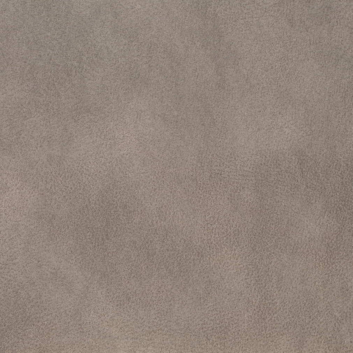 V899 Pebble by Charlotte Fabric Leather Looks 100% Polyester Asia Exceeds 100,000 Wyzenbeek Rubs (Heavy Duty) No Repeat 54 Inches - Fabric Carolina -