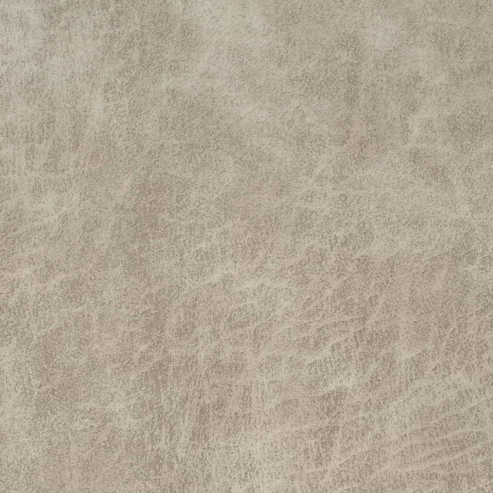 V901 Bone by Charlotte Fabric Leather Looks 72% Polyester, 24% Cotton, 4% Rayon Asia Exceeds 100,000 Wyzenbeek Rubs (Heavy Duty) No Repeat 54 Inches - Fabric Carolina -