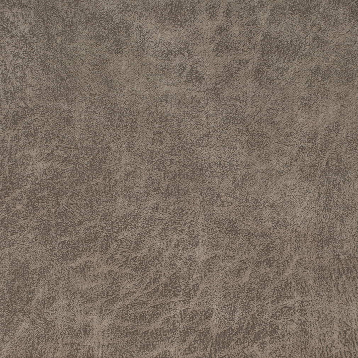 V902 Stone by Charlotte Fabric Leather Looks 72% Polyester, 24% Cotton, 4% Rayon Asia Exceeds 100,000 Wyzenbeek Rubs (Heavy Duty) No Repeat 54 Inches - Fabric Carolina -