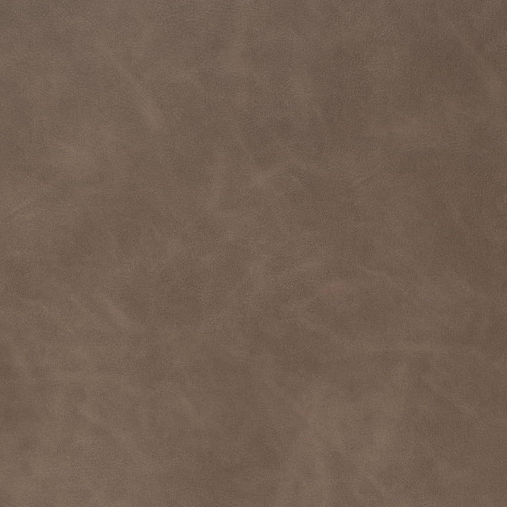 V908 Earth by Charlotte Fabric Leather Looks 100% Polyurethane Asia Exceeds 100,000 Wyzenbeek Rubs (Heavy Duty) No Repeat 54 Inches - Fabric Carolina -