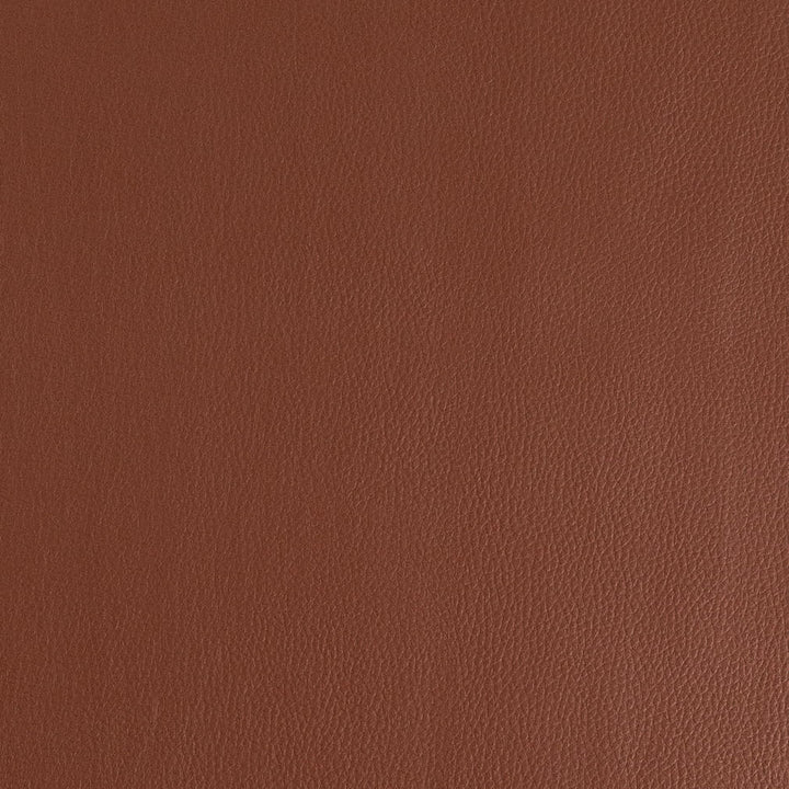 V923 Tawny by Charlotte Fabric Ultrahyde Pro II Vinyl/Polyurethane Asia Exceeds 2,000,000 Wyzenbeek Rubs (Heavy Duty) No Repeat 54 Inches - Fabric Carolina -