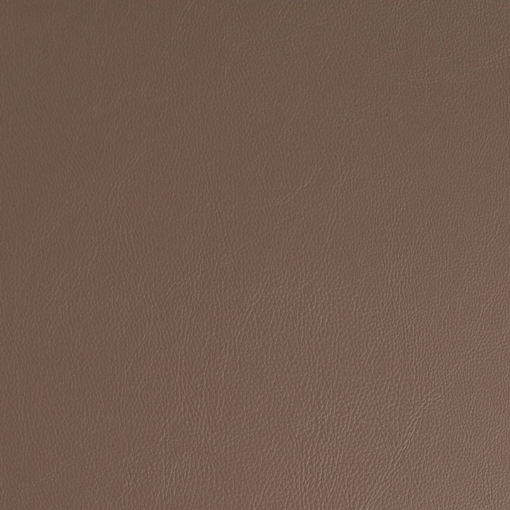 V935 Clay by Charlotte Fabric Ultrahyde Pro II Vinyl/Polyurethane Asia Exceeds 2,000,000 Wyzenbeek Rubs (Heavy Duty) No Repeat 54 Inches - Fabric Carolina -