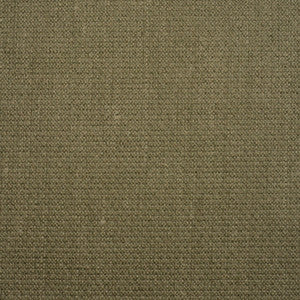 Vibe # 104 Hammock by Maxwell Fabric