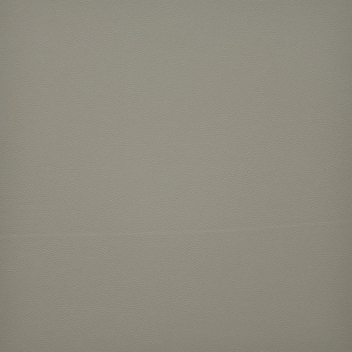 Vesper # 202 Aniseed by Maxwell Fabric Easy Rider Vi 100% PVC TAIWAN 54" - Fabric Carolina -