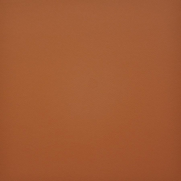 Vesper # 233 Safflower by Maxwell Fabric Easy Rider Vi 100% PVC TAIWAN 54" - Fabric Carolina -
