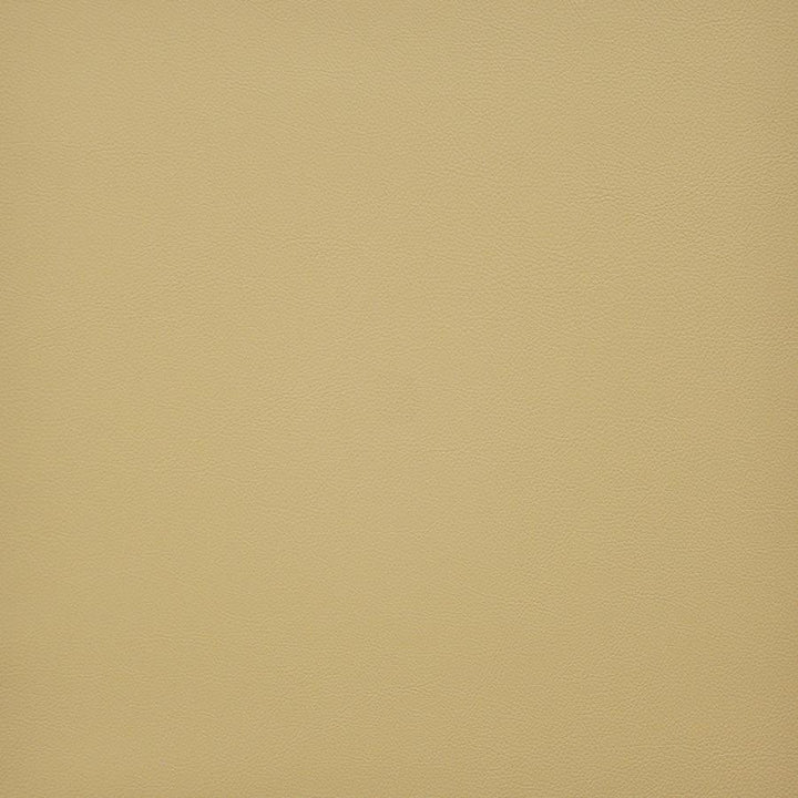 Vesper # 238 Cashew by Maxwell Fabric Easy Rider Vi 100% PVC TAIWAN 54" - Fabric Carolina -