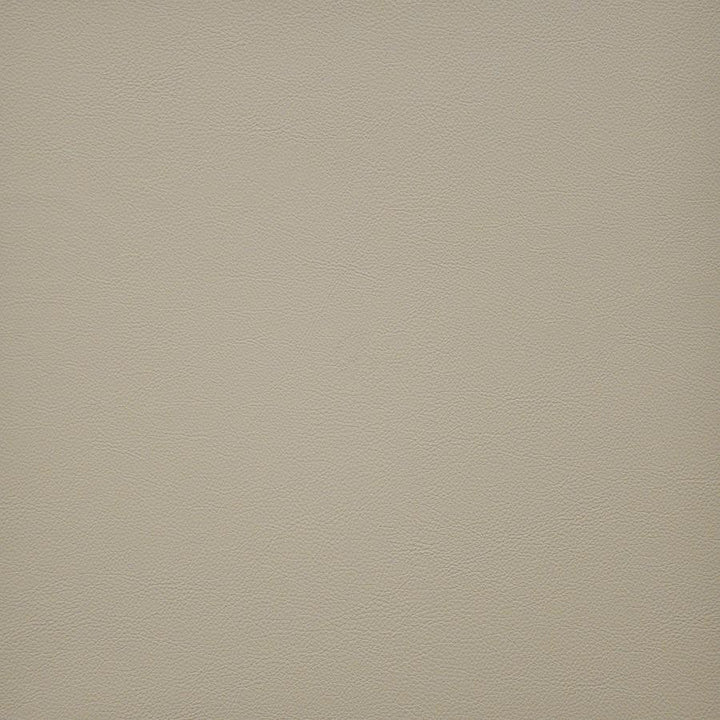 Vesper # 239 Doe by Maxwell Fabric Easy Rider Vi 100% PVC TAIWAN 54" - Fabric Carolina -