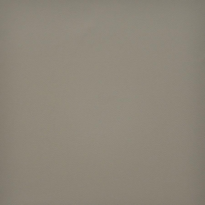 Vesper # 240 Papyrus by Maxwell Fabric Easy Rider Vi 100% PVC TAIWAN 54" - Fabric Carolina -