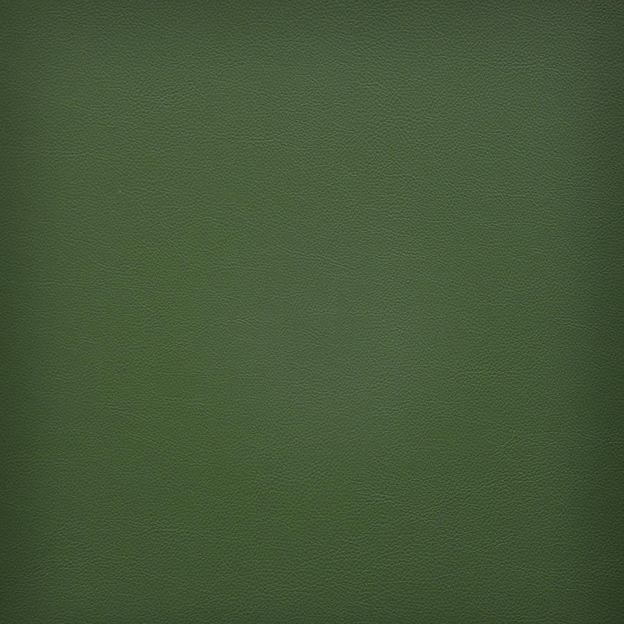 Vesper # 242 Fern by Maxwell Designer Fabric Easy Rider Vi 100% PVC TAIWAN 54" - Swanky Fabrics -