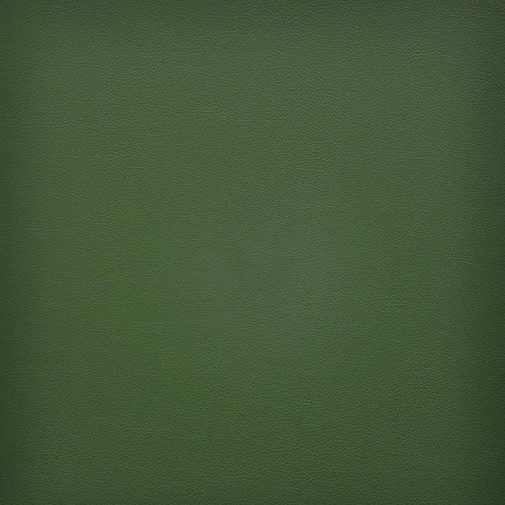 Vesper # 242 Fern by Maxwell Fabric Easy Rider Vi 100% PVC TAIWAN 54" - Fabric Carolina -