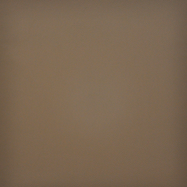 Vesper # 243 Taupe by Maxwell Fabric EASY RIDER VI 100% PVC TAIWAN </p><p>Repeat: Horizontal: and Vertical: 54" - Fabric Carolina -