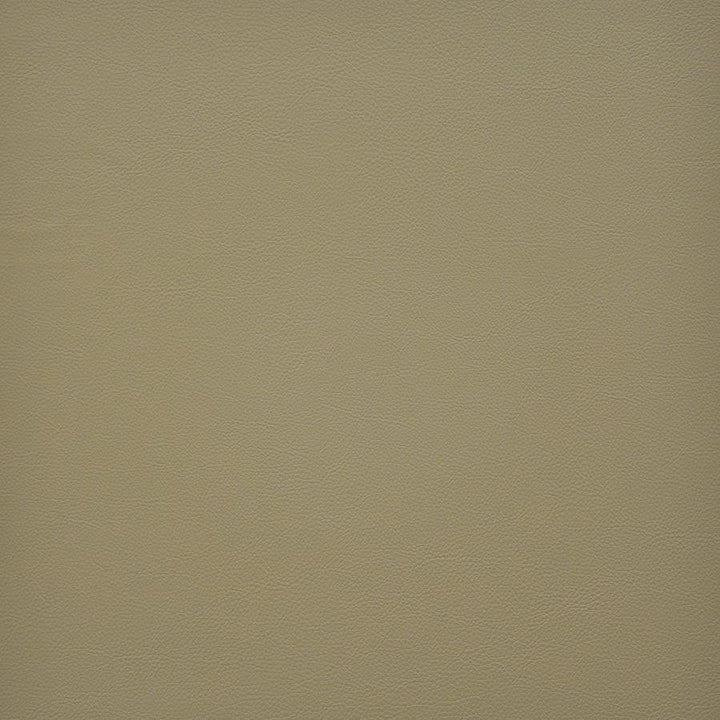 Vesper # 244 Barley by Maxwell Fabric Easy Rider Vi 100% PVC TAIWAN 54" - Fabric Carolina -
