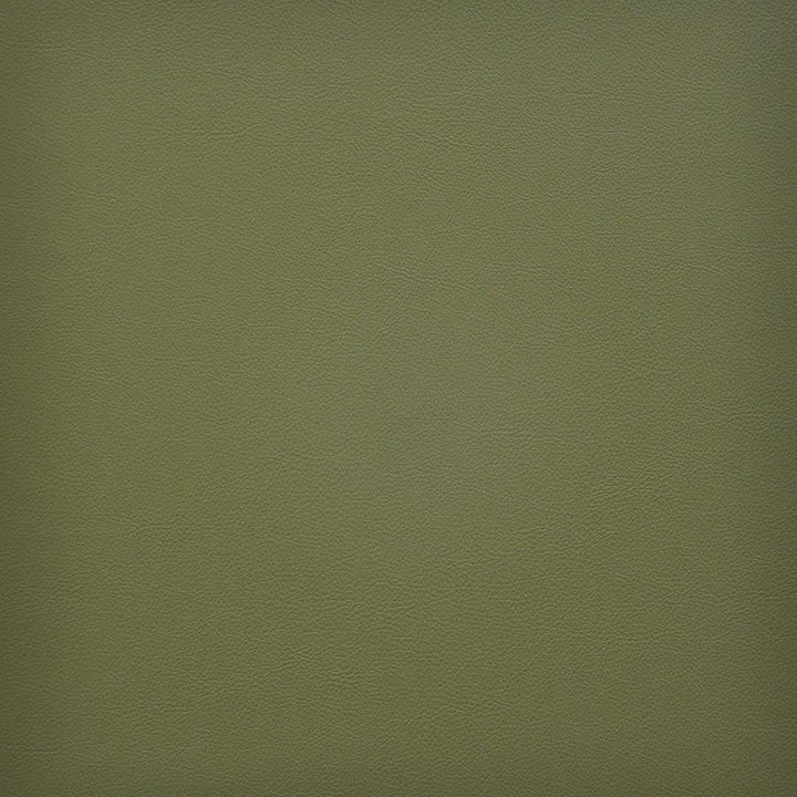 Vesper # 245 Picholine by Maxwell Fabric Easy Rider Vi 100% PVC TAIWAN 54" - Fabric Carolina -
