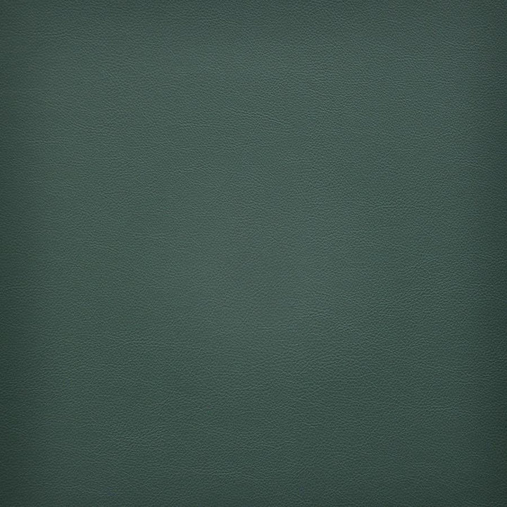 Vesper # 246 Appalachian by Maxwell Fabric Easy Rider Vi 100% PVC TAIWAN 54" - Fabric Carolina -