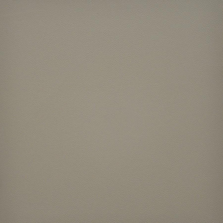 Vesper # 247 Porcini by Maxwell Fabric Easy Rider Vi 100% PVC TAIWAN 54" - Fabric Carolina -