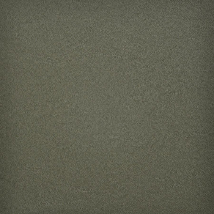 Vesper # 249 Sage by Maxwell Fabric Easy Rider Vi 100% PVC TAIWAN 54" - Fabric Carolina -